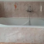 Citrus Novigrad *