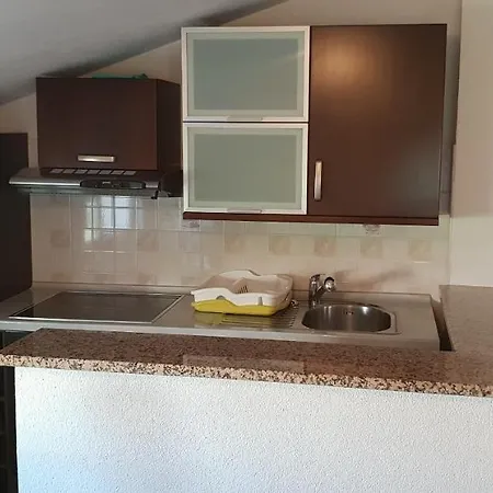 Citrus Novigrad