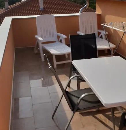 Citrus Novigrad Filipac