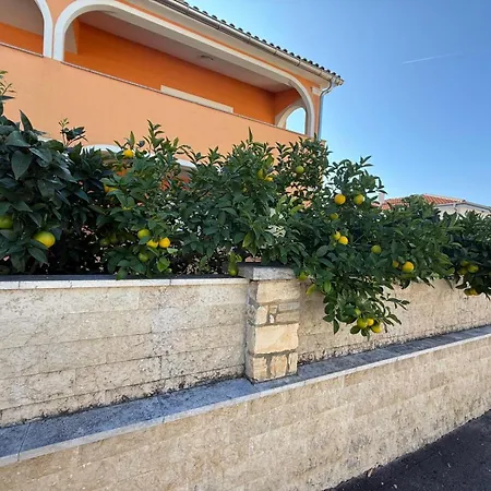 Citrus Novigrad *