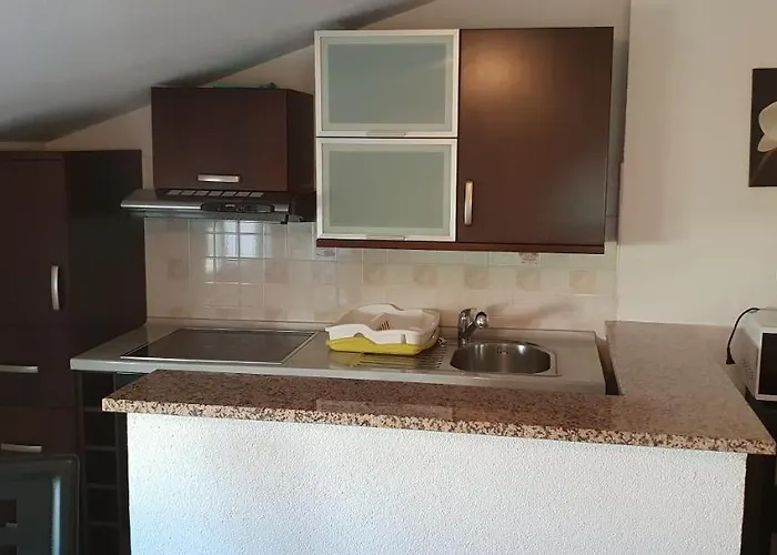 Citrus Novigrad