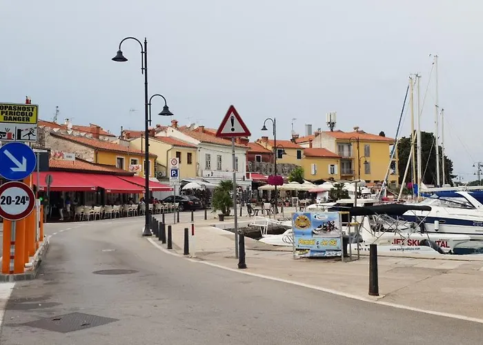 Citrus Novigrad