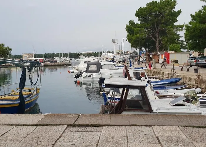 Appartement Citrus Novigrad