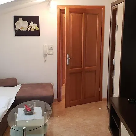 Citrus Novigrad Filipac