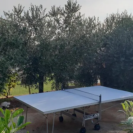 Citrus Novigrad Apartment Filipac