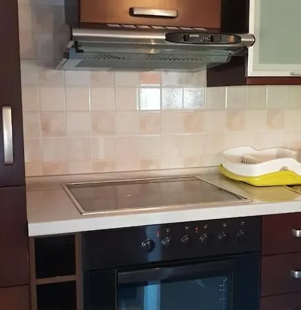 Apartment Citrus Novigrad *