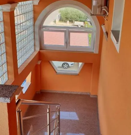 Citrus Novigrad Filipac