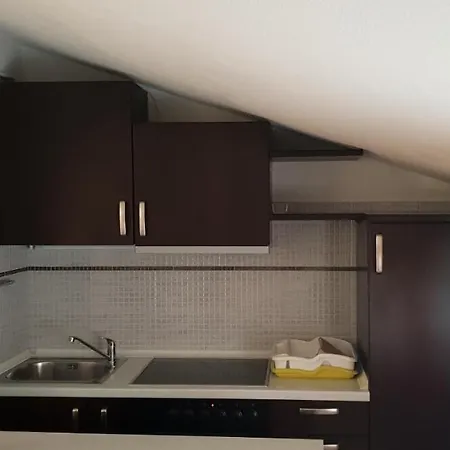 Citrus Novigrad Filipac