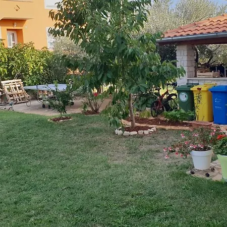 Apartment Citrus Novigrad *
