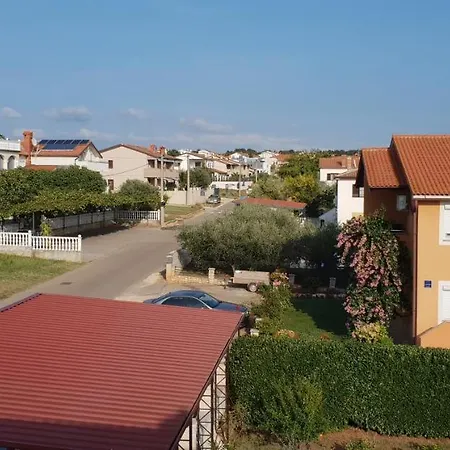 Apartment Citrus Novigrad *