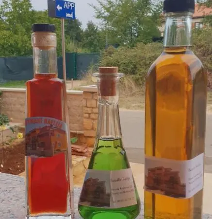 Apartment Citrus Novigrad Filipac