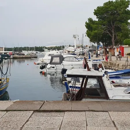 Apartment Citrus Novigrad